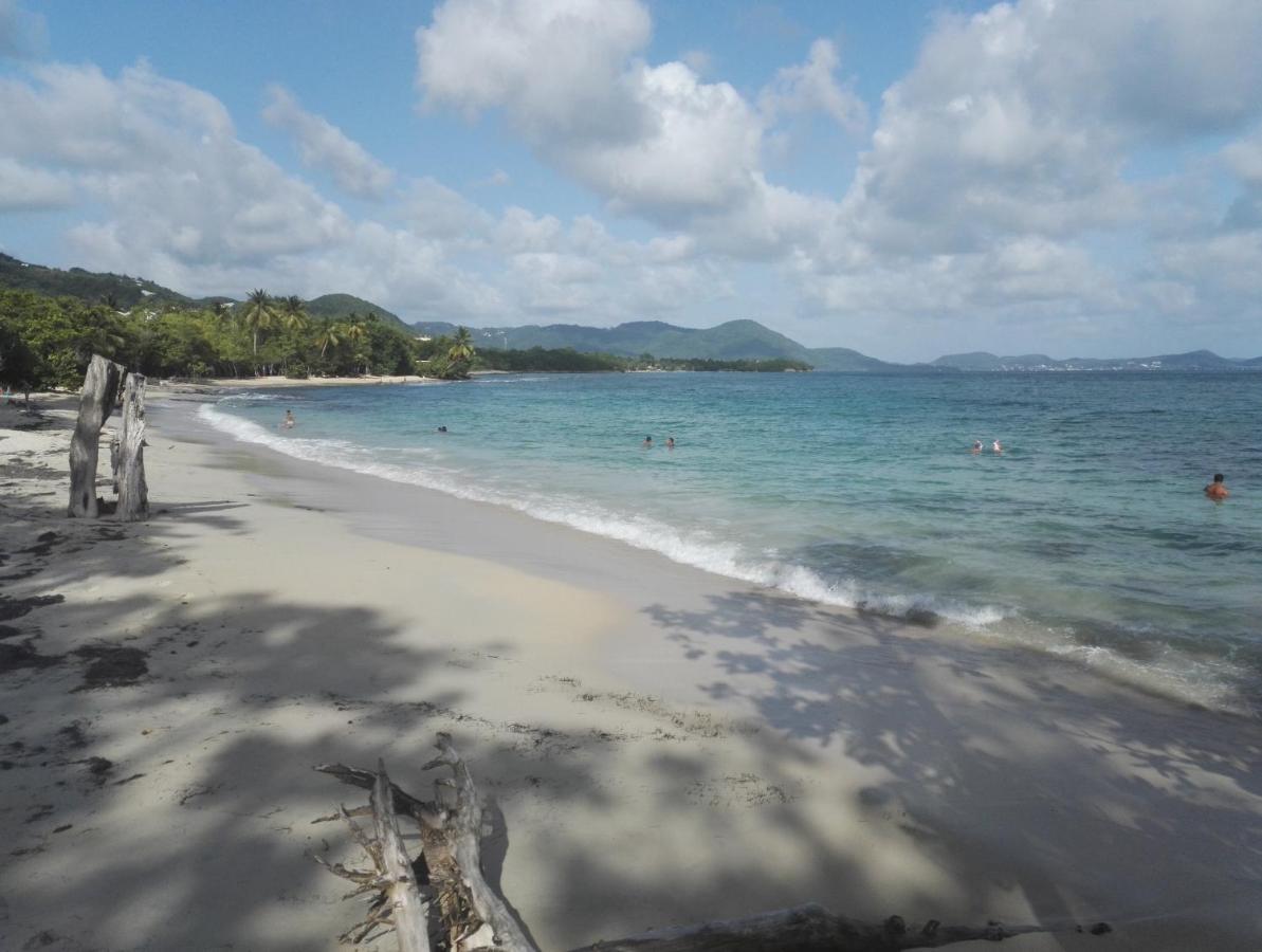 Studio - Le Ti-Colibri - Plages Et Piscine A Sainte-Luce - Martinique - Antilles Exterior photo