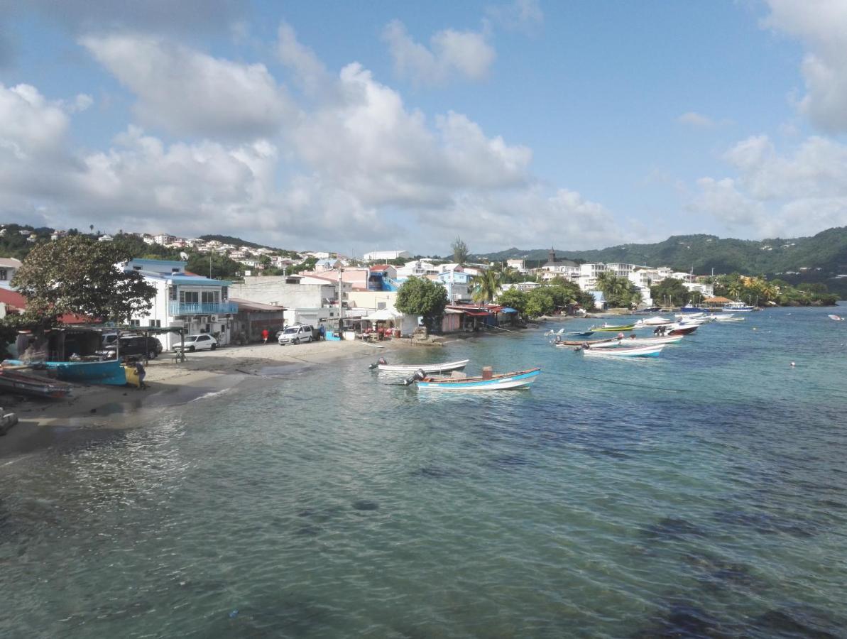 Studio - Le Ti-Colibri - Plages Et Piscine A Sainte-Luce - Martinique - Antilles Exterior photo